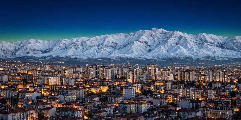 Bursa